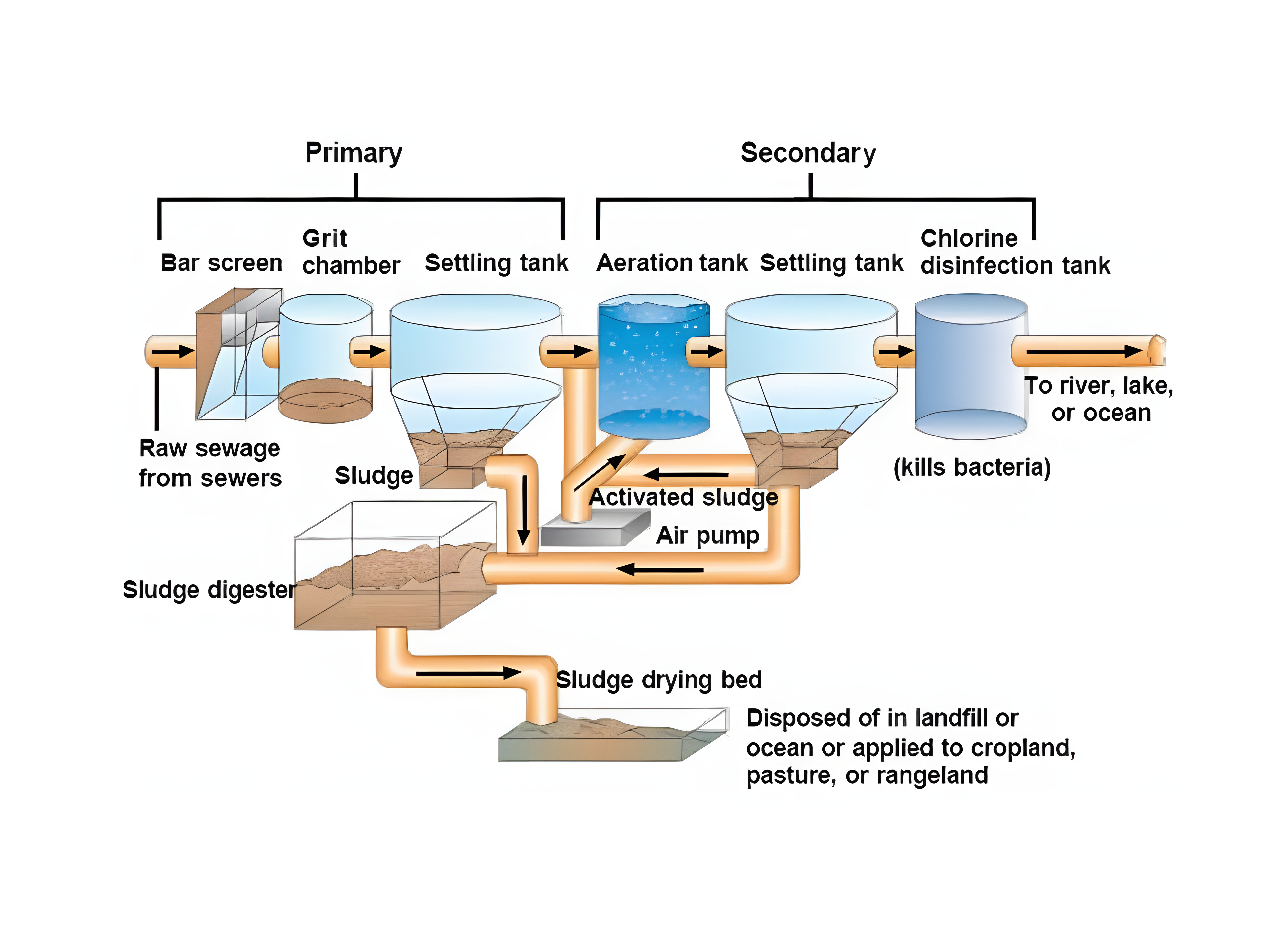 What is the purpose of a sludge drying bed?