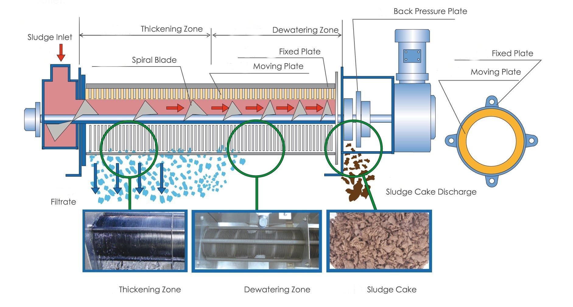 What is Sludge Dewatering？