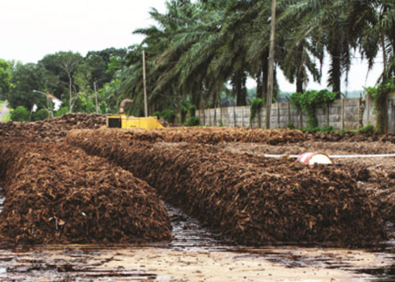 Palm Oil Wastewater Sludge Treatment