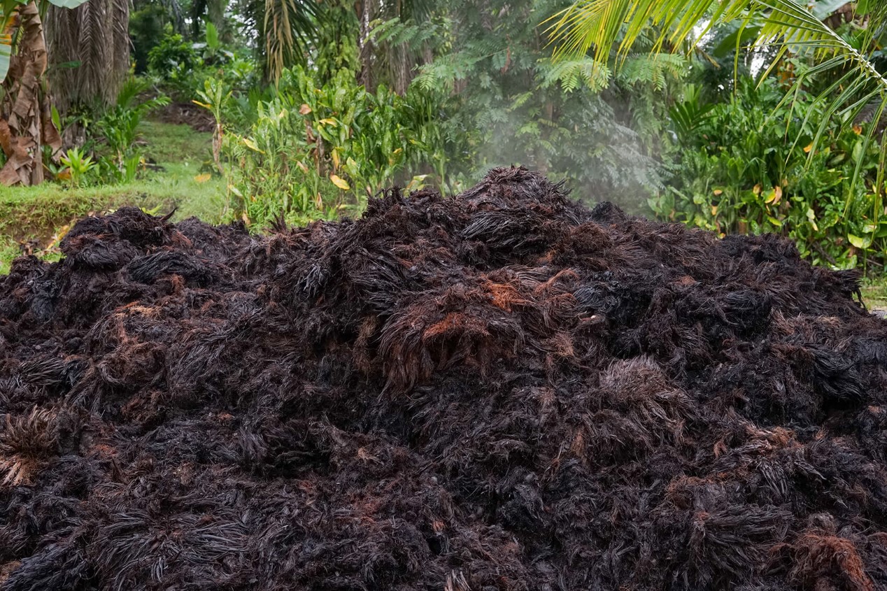 Sludge Drying Treatment in Palm Oil Mills