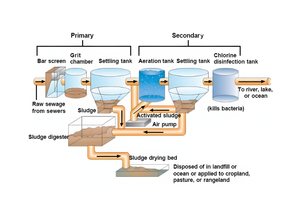 What is the purpose of a sludge drying bed